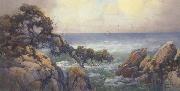 unknow artist Cypress Trees on the Monterey Coast France oil painting artist